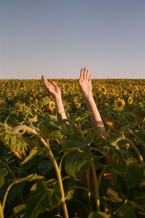 Ces histoires photographiques qui réchauffent le cœur