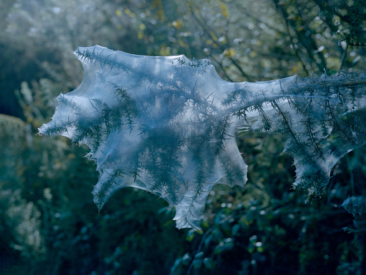 Impossible Worlds : Biennale de la photo de Mulhouse