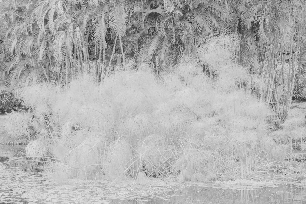 Chaumont-Photo-sur-Loire, une 7ᵉ édition où la  poésie tutoie l'engagement écologique