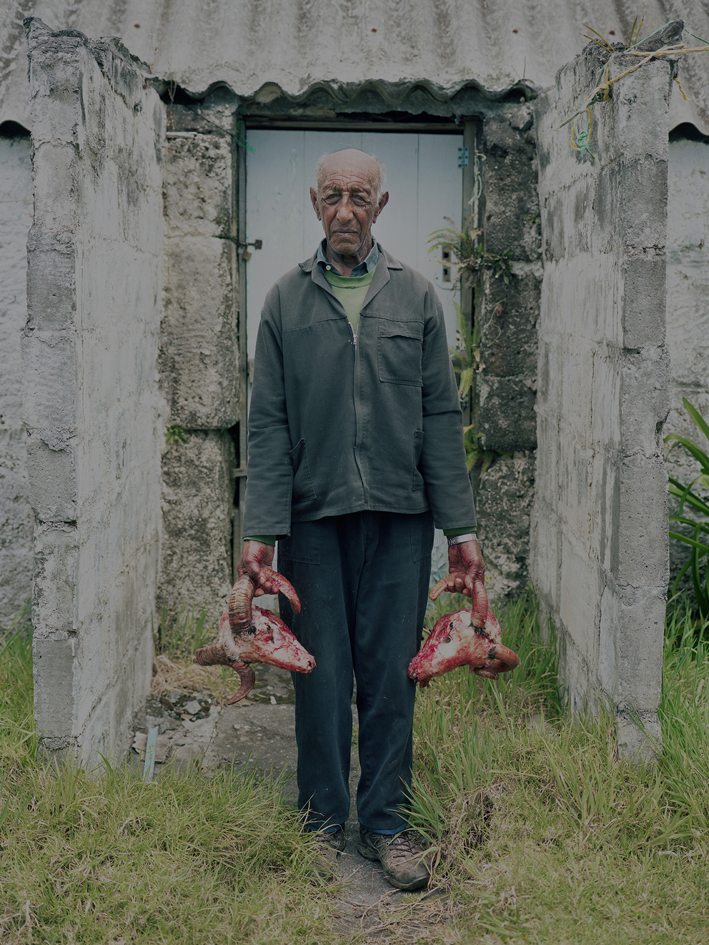 Richard Pak tire le portrait de l’île Tristan da Cunha