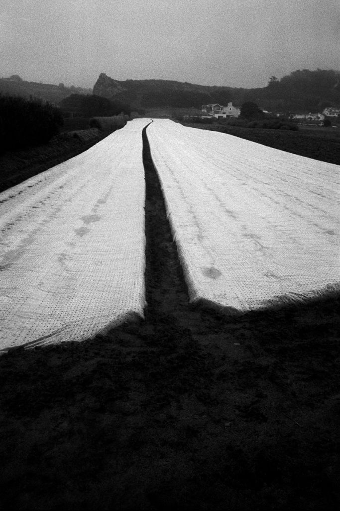 Des champs avec un sillon en noir et blanc