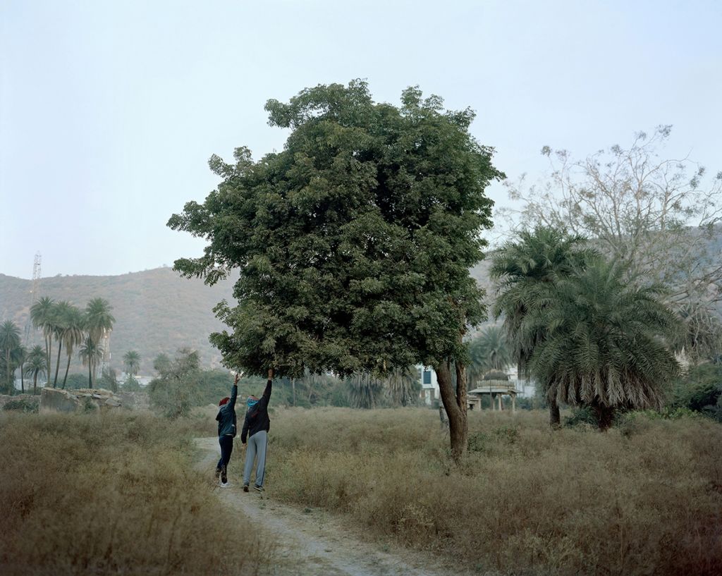 Photographie de Balázs Turós montrant deux personnes touchant les feuilles d'un arbre