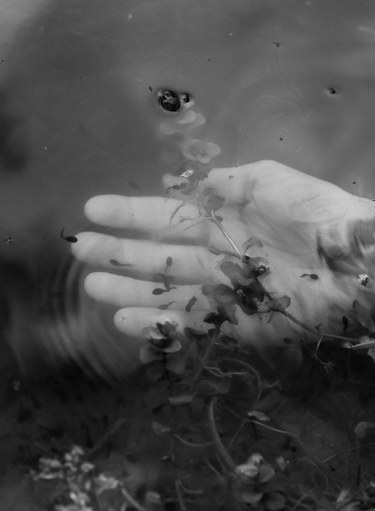 Photographie de Balázs Turós montrant une main dans l'eau d'une rivière