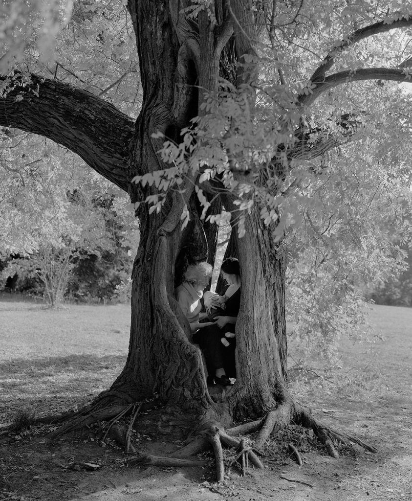 Photographie de Balázs Turós montrant deux personnes dans le creux d'un arbre