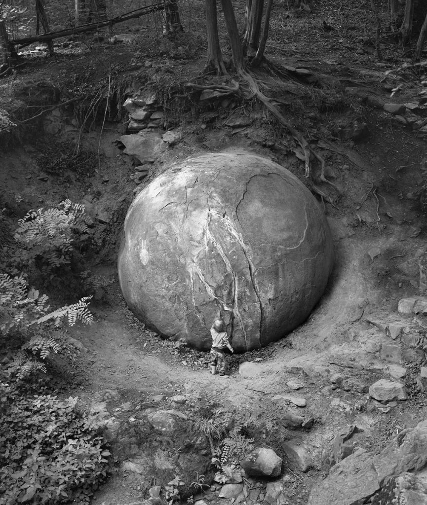 Photographie de Balázs Turós montrant une forme sphérique dans la forêt