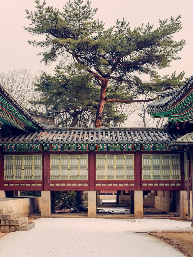 Cour d'un temple en Corée du Sud. En fond un arbre.