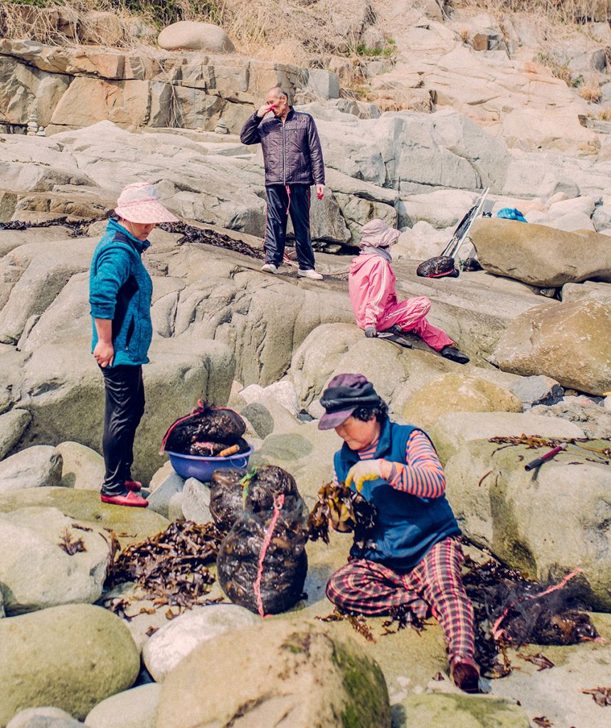 Des pêcheuses Sud-Coréennes sur le rivage