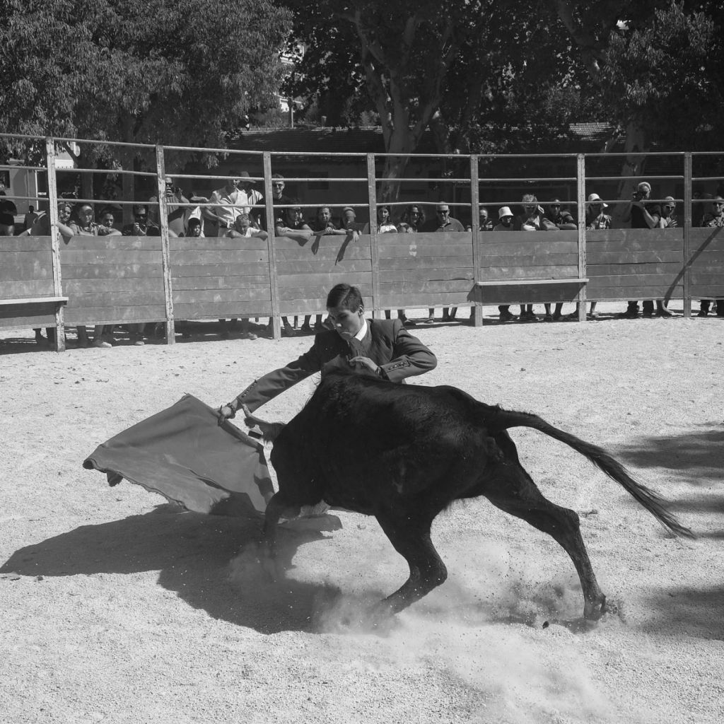 Jeune toréador face à la foule dans l'arène face à un taureau