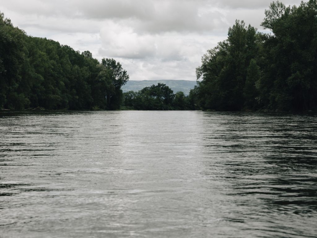 La Loire entourée de verdure