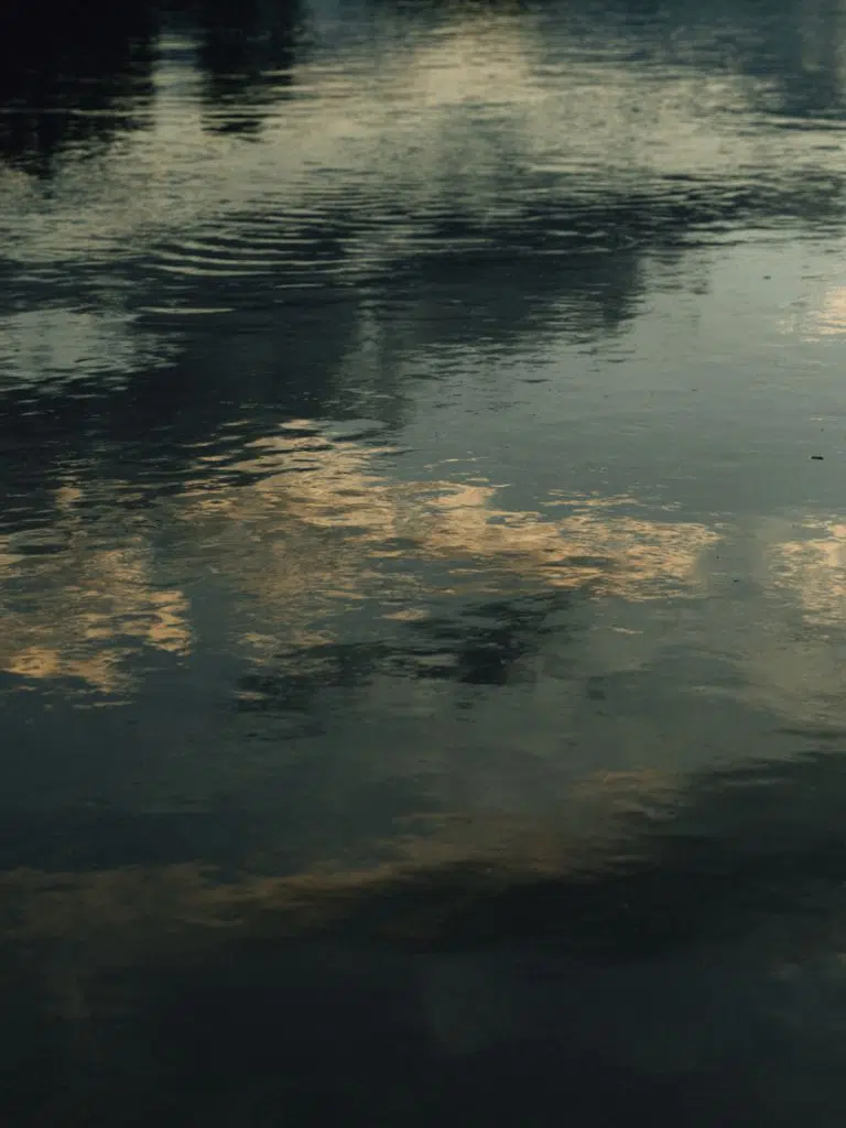 Reflet de nuages et d'arbres sur l'eau