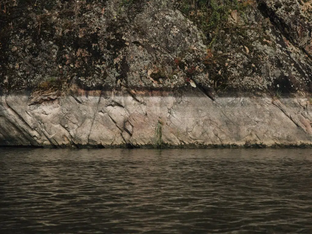 Petite herbe sur la berge le long d'un fleuve