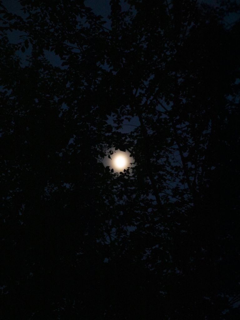 Une lune ou un soleil dans un ciel noir