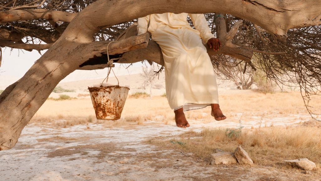 Une personne assise sur la branche d'un arbre