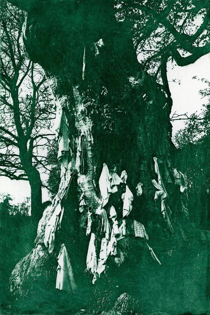 Gravure verte d'un chêne