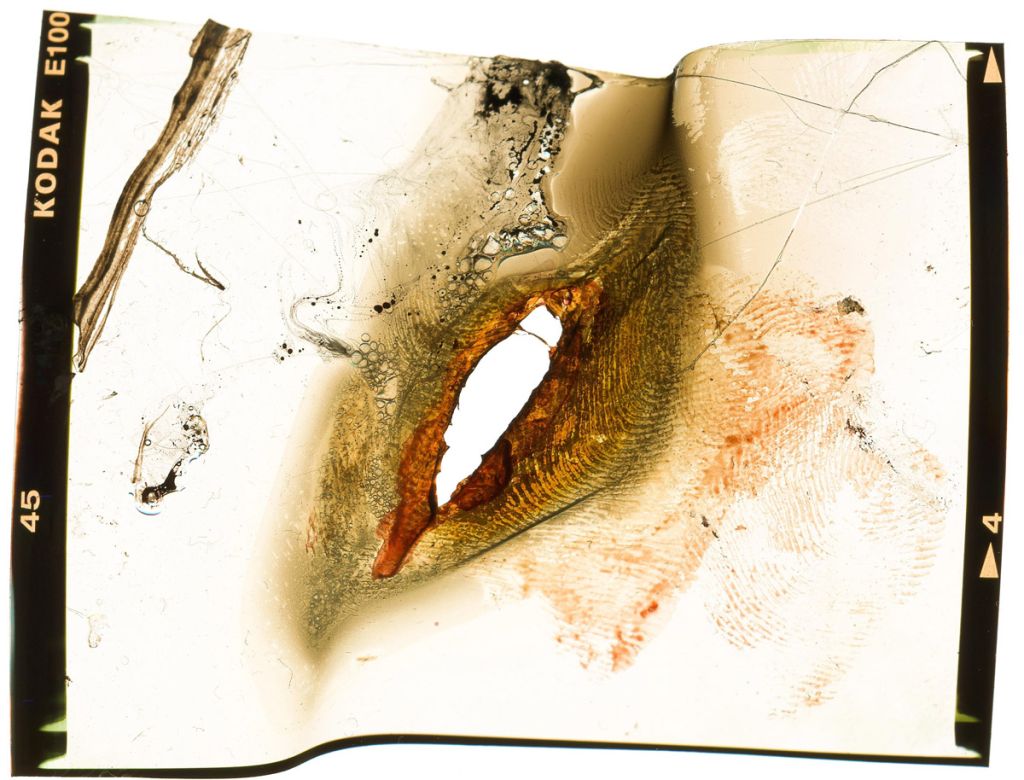 Un négatif brûlé, déchiré en son centre, avec des traces de sang et des cheveux.
