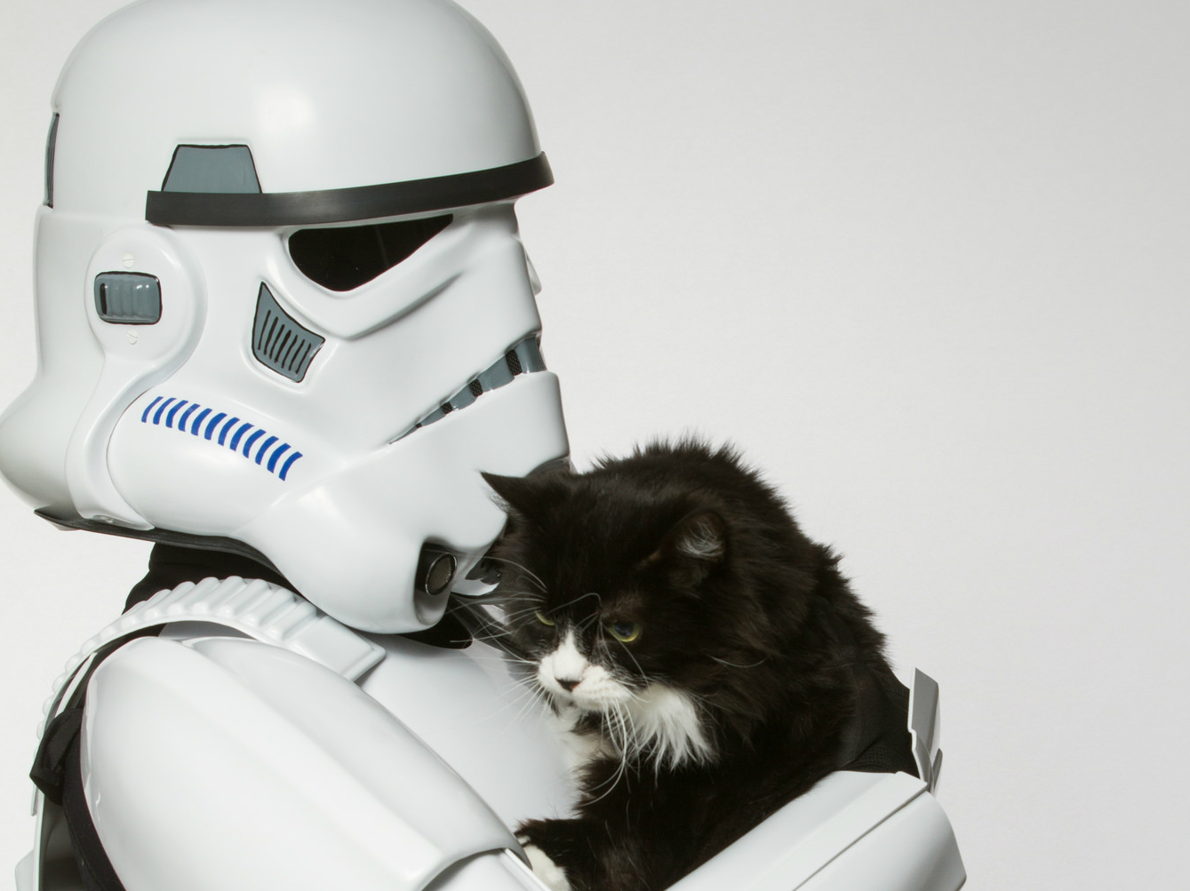 Star Wars pour l'adoption des animaux