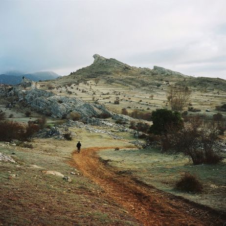 Antoine Bruy : "Scrublands"