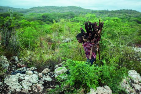 Autoportrait d'Haïti