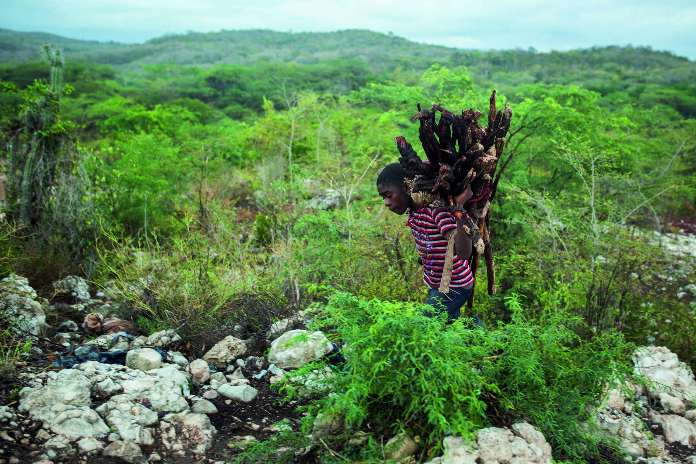 Autoportrait d'Haïti