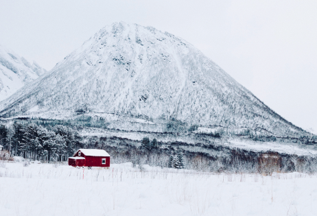 Journey to the Lofoten Islands