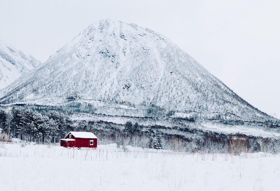 Journey to the Lofoten Islands