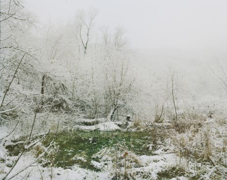 Wenxin Zhang : « Beast by the Waterfall Guesthouse »