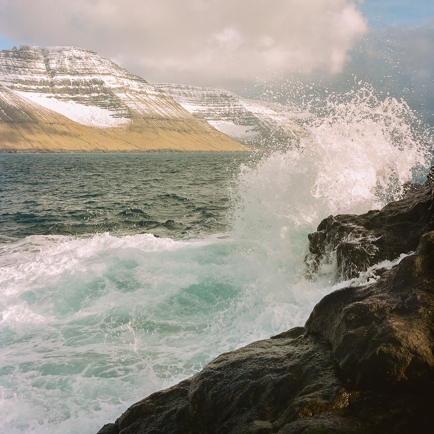 “An intimate cartography of the end of the world.”