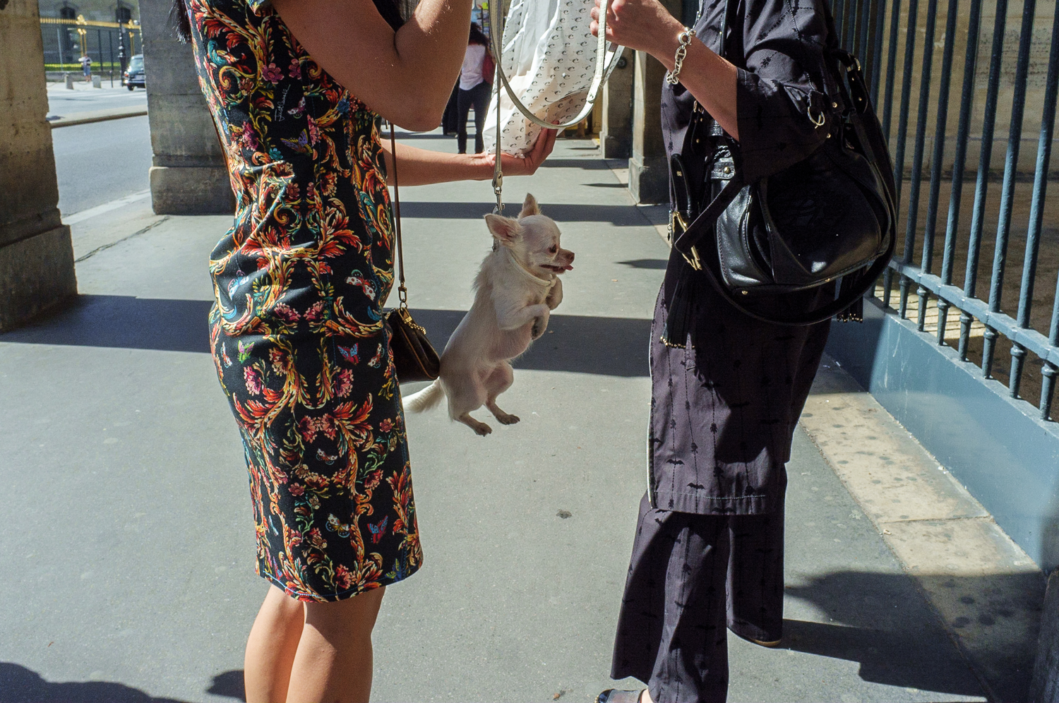 Promenades incongrues 