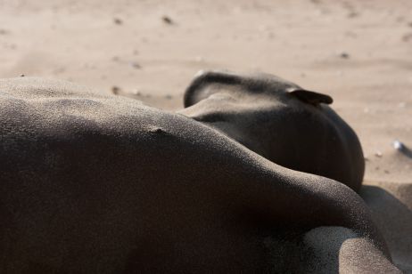 « Créer avec le sable me permettait d’imager mon rapport à l’impermanence »