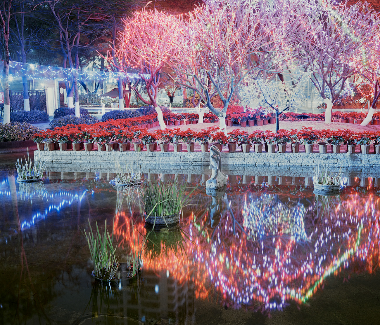 Le Lianzhou Foto Festival dévoile son palmarès