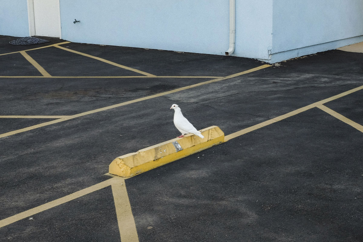 Vide, calme et volupté