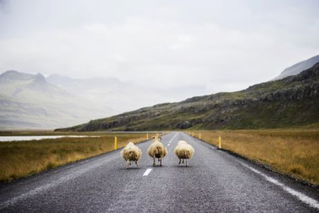 CEWE Photo Award : mettre à l’honneur la beauté du monde