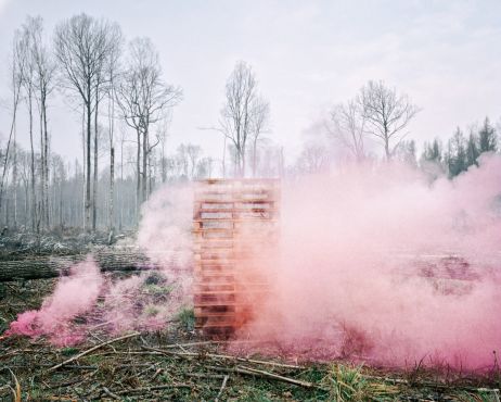 Il était une fois Bialowieza