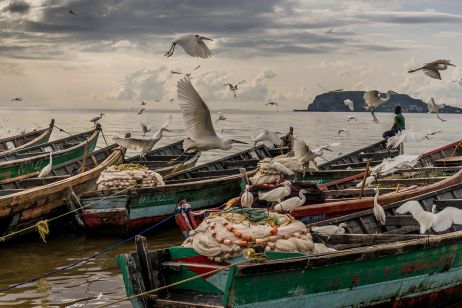 Visa pour l’image 2019 : un état des lieux de notre monde