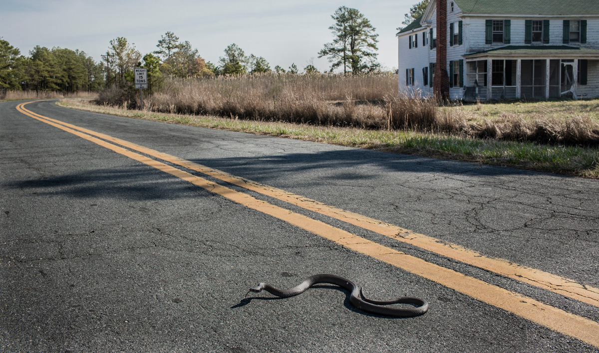 Getty Images and Climate Visuals : capturing the global climate crisis