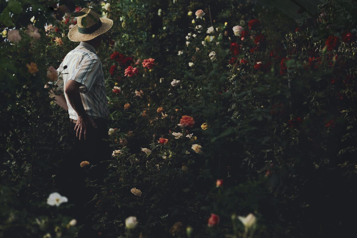 « J'ai la sensation d'avoir été dans un paradis perdu. Je sens encore l’odeur des roses ! »