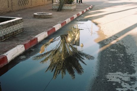 Dans l'ombre de la Méditerranée