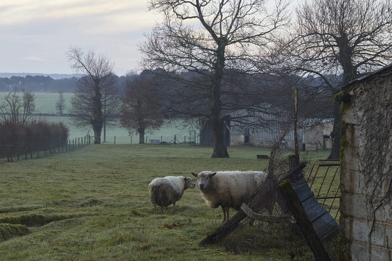 Les candidatures à la deuxième Résidence Ruralité(s) sont ouvertes !