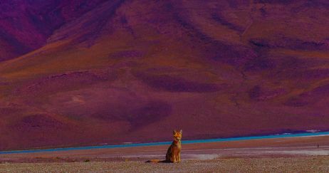 Les photographes nous emmènent en voyage