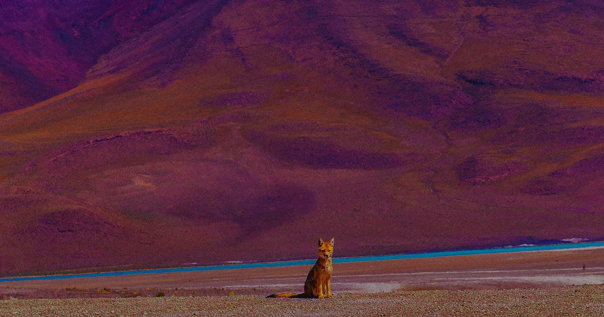 Les photographes nous emmènent en voyage