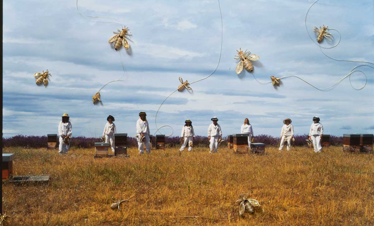 « Piquées » : Charlotte Abramow raconte une histoire de femmes et d’abeilles