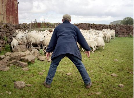 À l'Abbaye royale de l’Épau, les photographes interrogent notre environnement