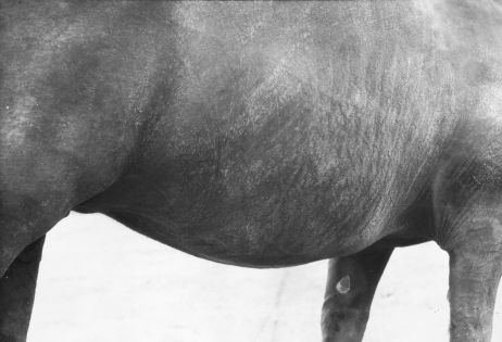 Jochen Lempert et l’invisible poésie de la nature