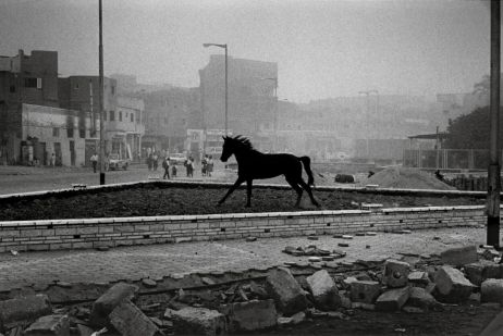 ImageSingulières 2023 : quand la photographie confronte l'humanité à ses défis communs