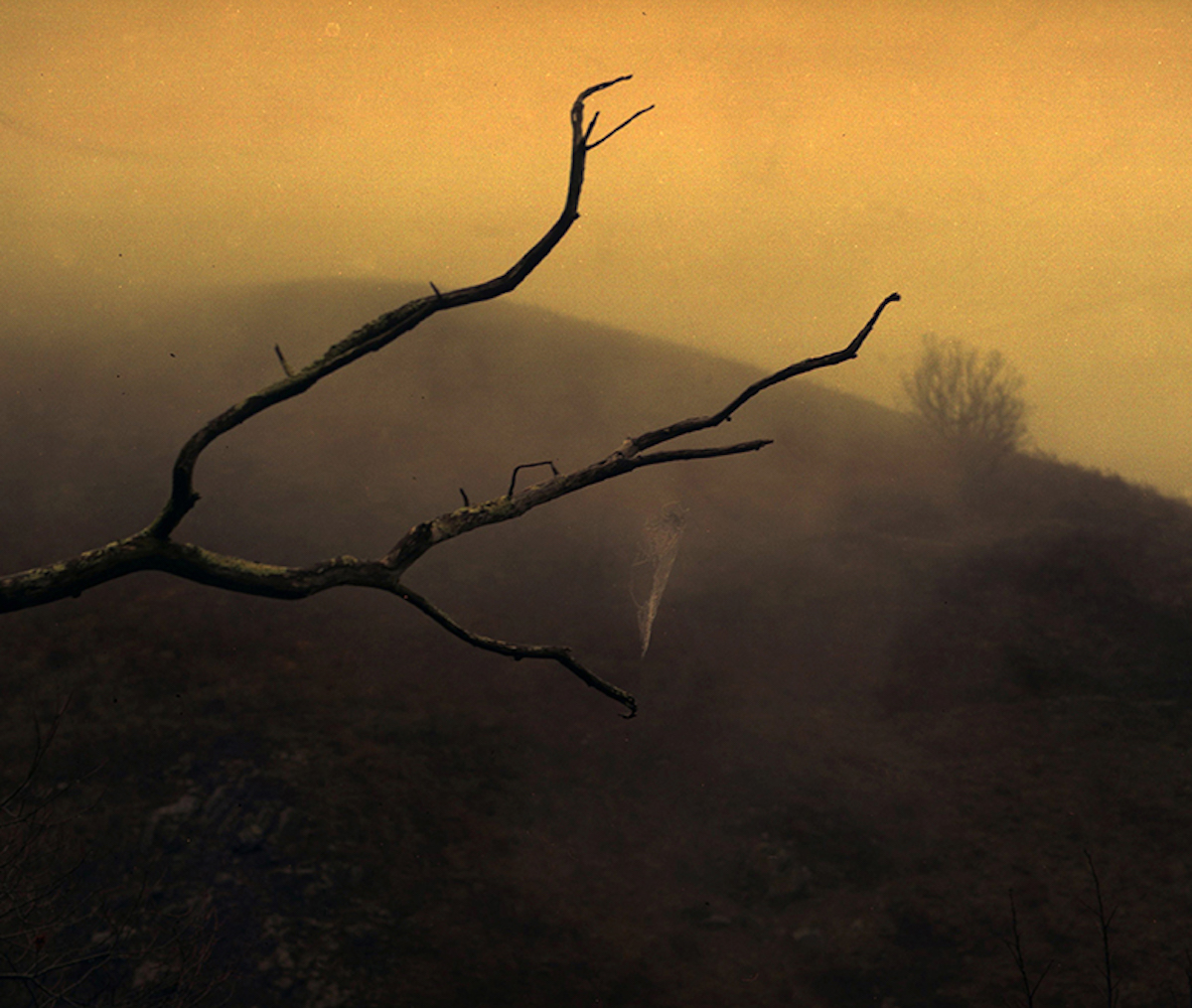 Le silence des paysages dans l’objectif de Patxi Laskarai