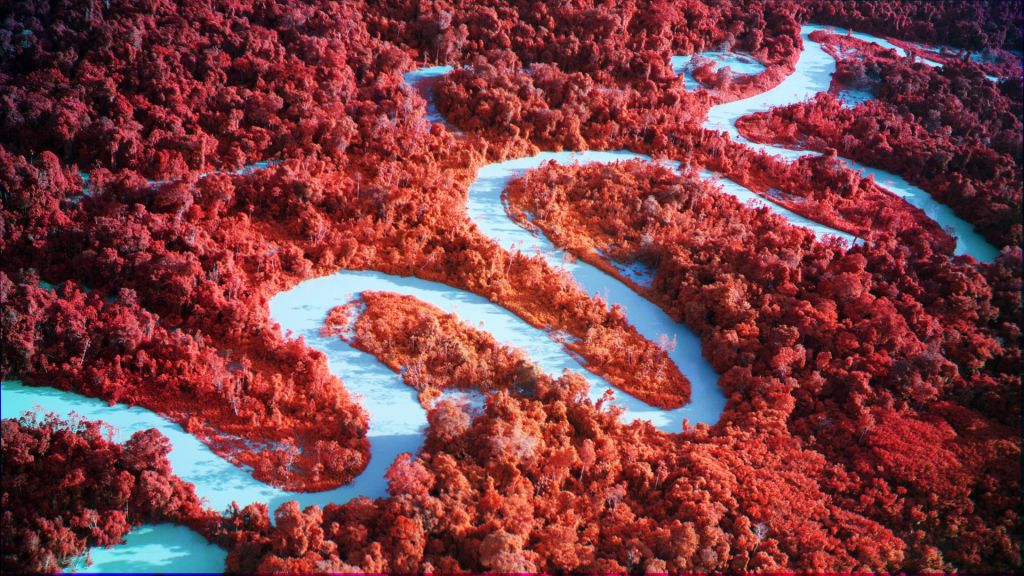 Vue surplombante de la forêt amazonienne, extraite du film "Broken Spectre" de Richard Mosse.