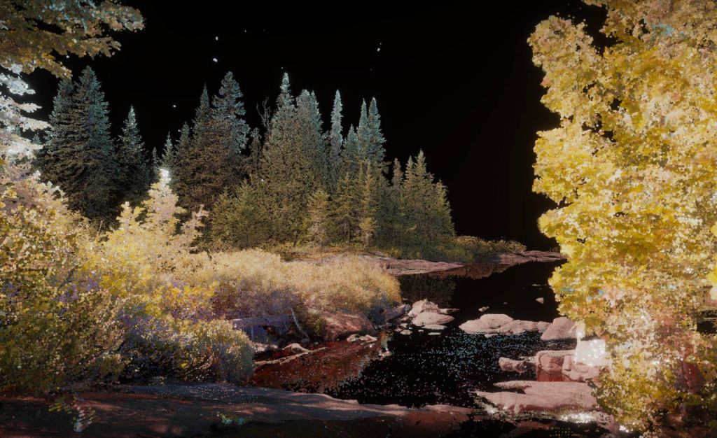 Vue d'une forêt québécoise, extraite de l'œuvre 3D de Nelly-Eve Rajotte