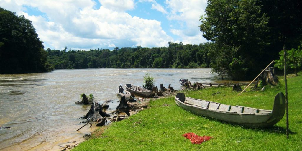 Vue sur le fleuve Maroni.