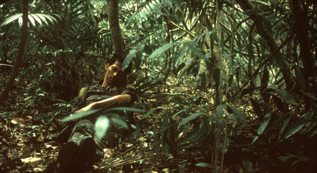 Un homme dort paisiblement au milieu d'une forêt tropicale.