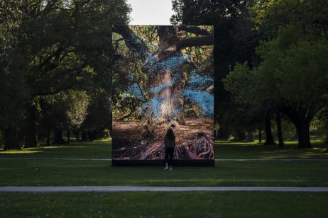 À Londres, Marshmallow Laser Feast redonne vie à la nature